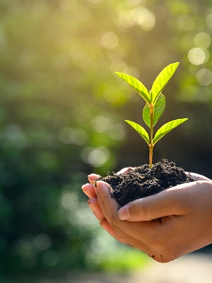 A human-centric approach to smart cities