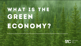 Green Economy