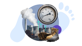 Net Zero and Your Carbon Footprint
